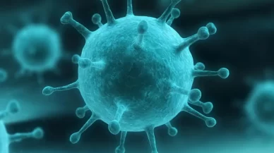 Is it Influenza or the Common Cold? How to Tell the Difference: