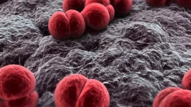 Meningococcal Vaccines